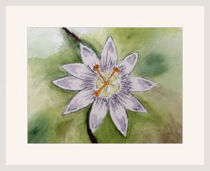 joy sherriff passion flower