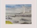 joy sherriff portland lighthouse web