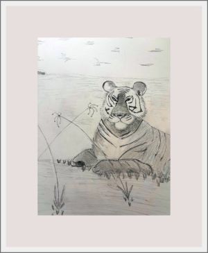 joy shrriff tiger indian web