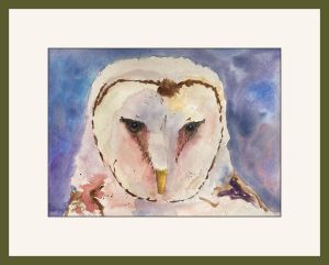 joyce barn owl