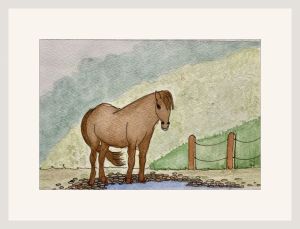 joyce exmoor ponies