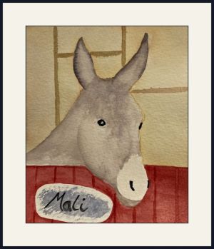 joyce mali donkey web