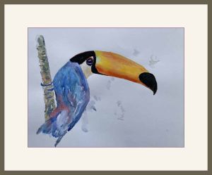 joyce vousden toucan web