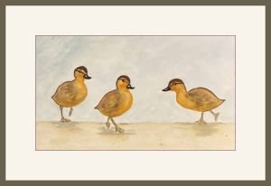 joyce vousden.ducklings web