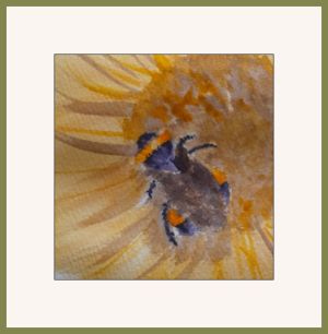 marian bumble  bee and sunflower