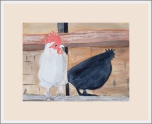 marian chicken coop web