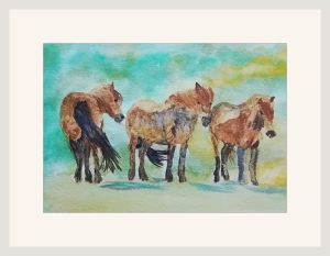 marian exmoor ponies