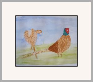 marian pheasant
