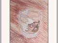 pam  rose in a glass web