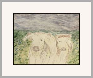 pam alliband cows gordon web