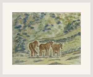 pam alliband exmoor ponies
