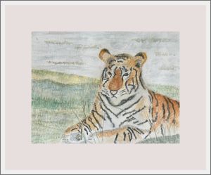 pam alliband india tiger web