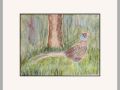 pam alliband pheasant
