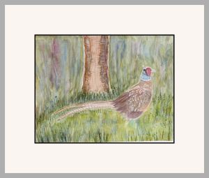 pam alliband pheasant