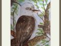 pauline barnes kookaburra web