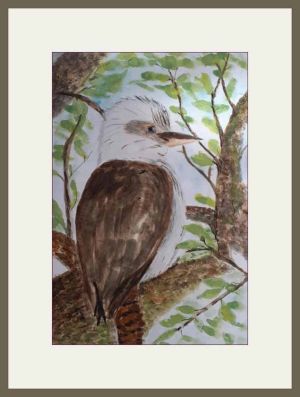 pauline barnes kookaburra web