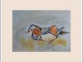 pauline mandarin duck web