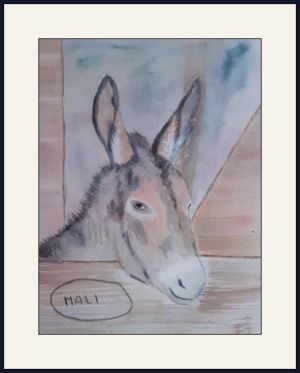 pauline.mali donkey web